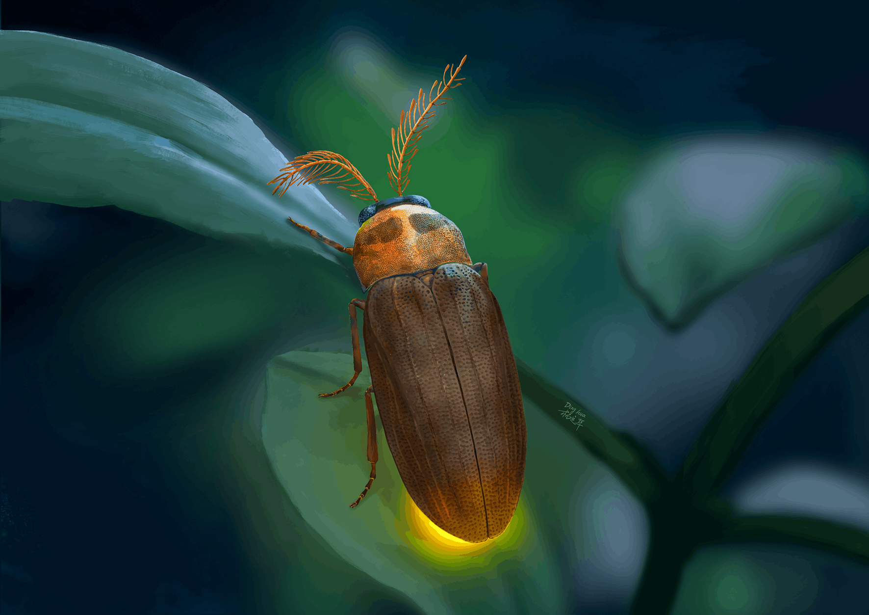 An artist reconstruction of what the beetle might have looked like. 